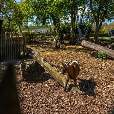Sustainable Near The Golf Course * Velsen-Zuid